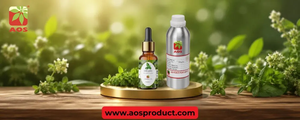 Pure Oregano Oil | Pharmaceutical & Cosmetic Grade