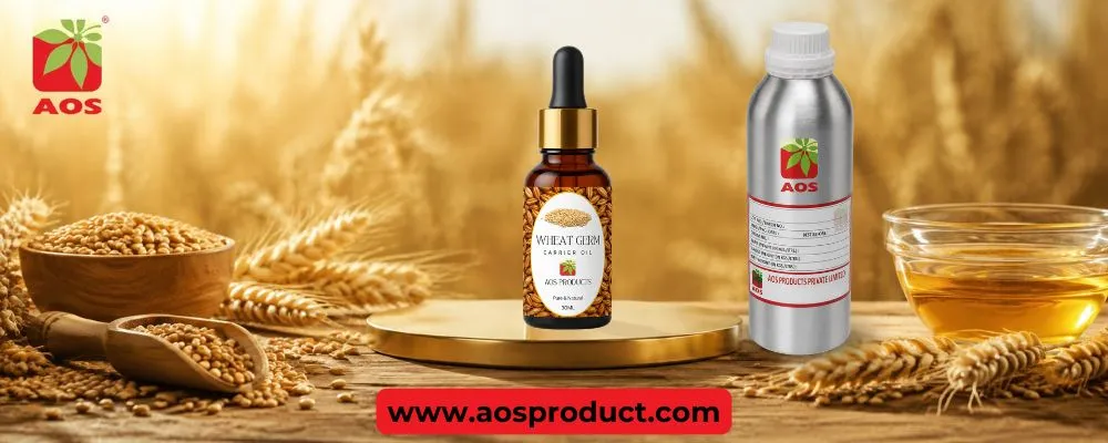 Premium Wheat Germ Oil for Pharmaceutical & Cosmetic Use