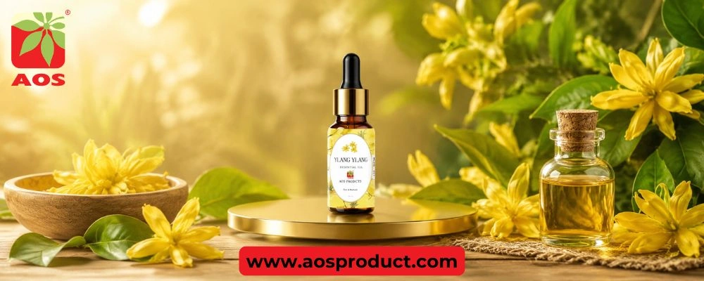 Natural Ylang Ylang Oil for Perfume & Personal Care