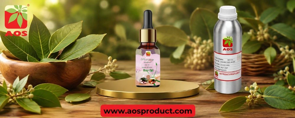 Bay Oil: The Aromatic Essence of Laurel