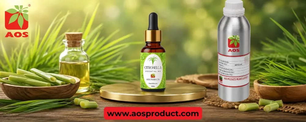 Citronella Oil: A Fresh Perspective on Nature’s Aromatic Shield