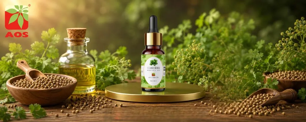 Coriander Oil | Premium Quality & Purity