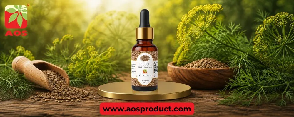 Dill Oil: A Distinctive Botanical Ingredient with Modern Potential