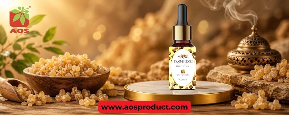 Frankincense Oil: A Timeless Essence for Modern Applications