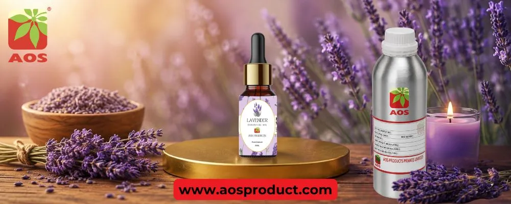 Lavender Oil: Where Botanical Purity Meets Modern Quality