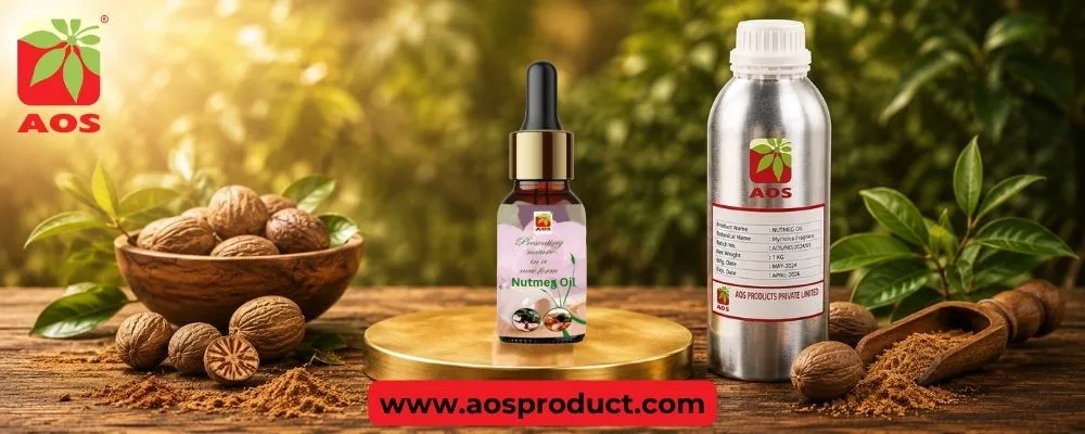 Nutmeg Oil: The Warm, Aromatic Essence of a Timeless Spice
