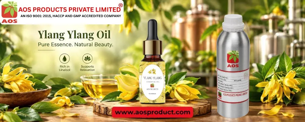 Ylang Ylang Massage Oil Benefits