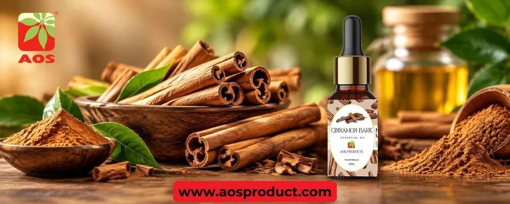 What is Cinnamon Oil Best Used for?