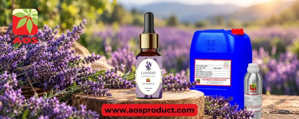 Does Lavender Oil Help With Pain