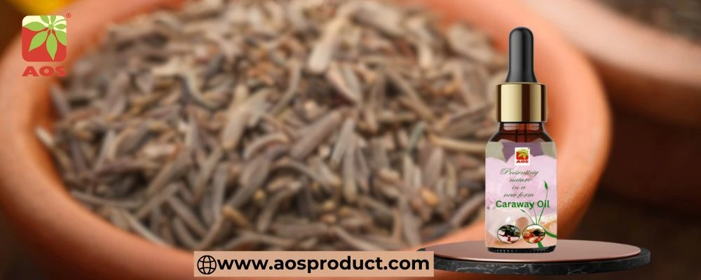 Caraway Oil Uses and Benefits
