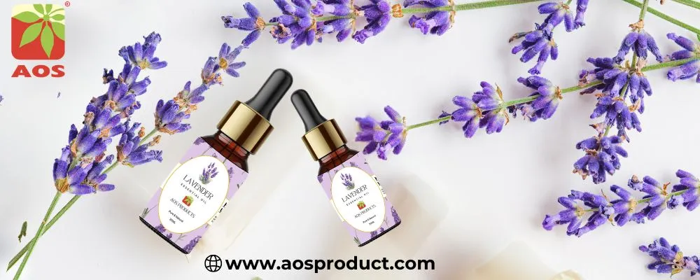 Lavender Oil for Aromatherapy