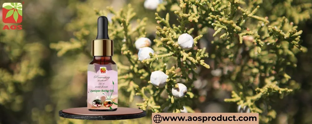 Juniper Berry Essential Oil
