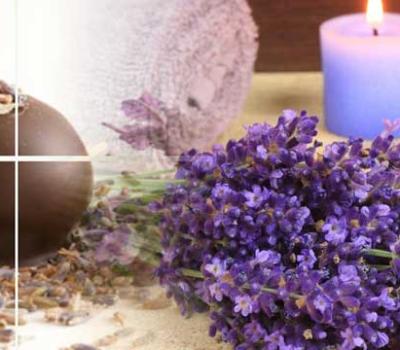 Benefits and Uses of Lavender Oil
