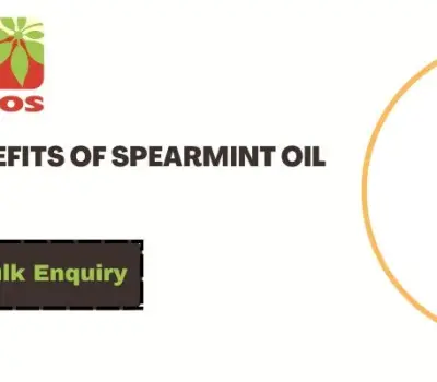 Health Benefits of Spearmint Oil