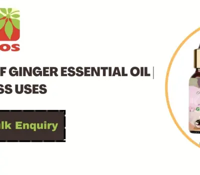 Top 10 Benefits of Ginger Essential Oil