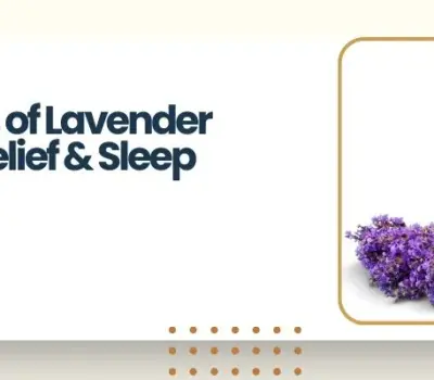Proven Benefits of Lavender Oil