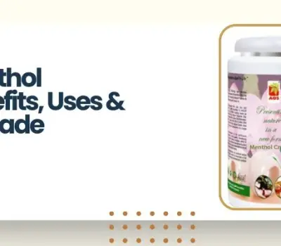 What Are Menthol