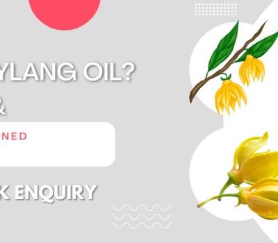 What is Ylang Ylang Oil