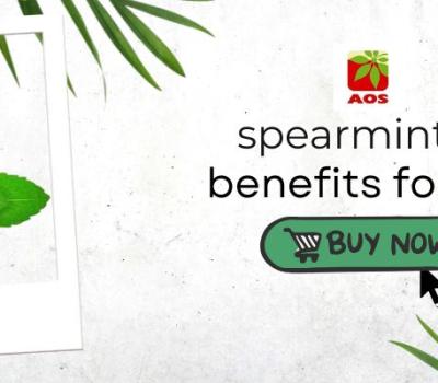 Spearmint oil benefits for skin