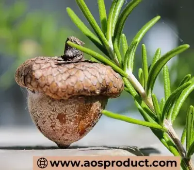 Carrier Oils to Mix with Rosemary Oil