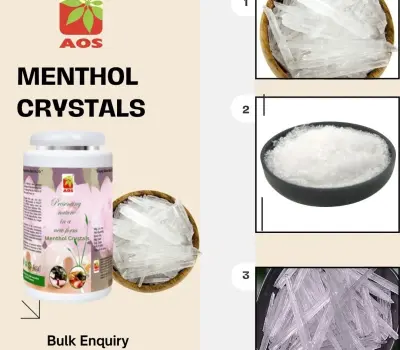 Certified Menthol Crystals – Exporter for USA & Europe
