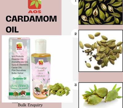 Why Cardamom Oil is Popular in Ayurvedic Medicine