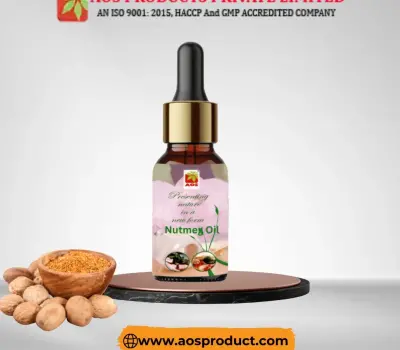 Nutmeg Oil: Nature’s Warm, Aromatic Elixir for Wellness