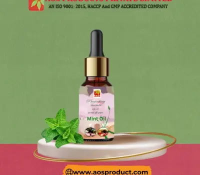 Mint Oil: A Refreshing Boost for Body, Mind, and Home