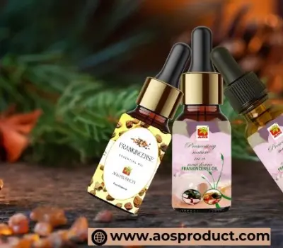 Frankincense Oil Guide uses Benefits, History