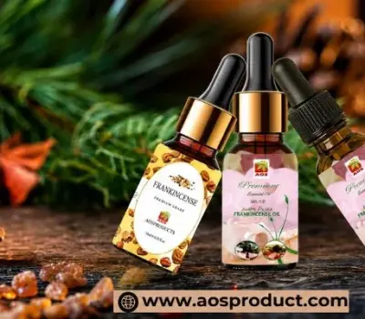 Frankincense Oil Guide uses Benefits, History