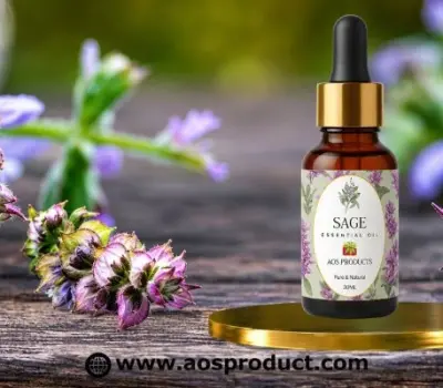 Sage Oil: The Ancient Botanical Finding Its Place in Modern Wellness