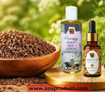 Caraway Oil: A Traditional Essential Oil with Modern Uses