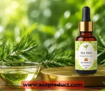 Tea Tree Oil: A Story of Purity, Quality, and Pharmaceutical Trust