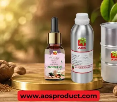 Nutmeg Oil: The Best Essential Oil for Pharmaceuticals and Industry