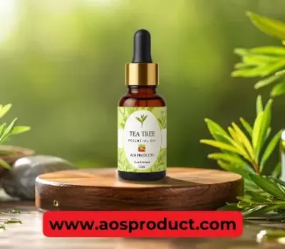 From Leaf to Legacy: The Journey of Tea Tree Oil