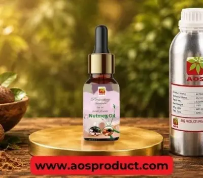 Nutmeg Oil: The Warm, Aromatic Essence of a Timeless Spice