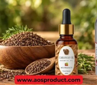 What are the Benefits of Caraway Seed Oil?