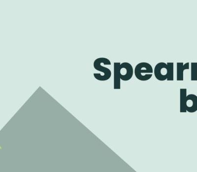 Spearmint Oil Benefits