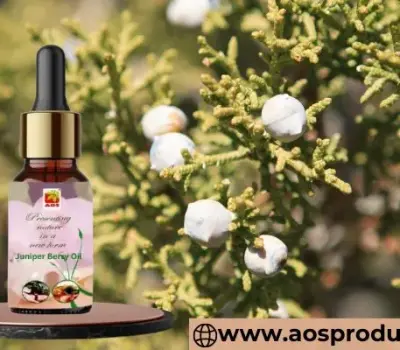 Juniper Berry Essential Oil