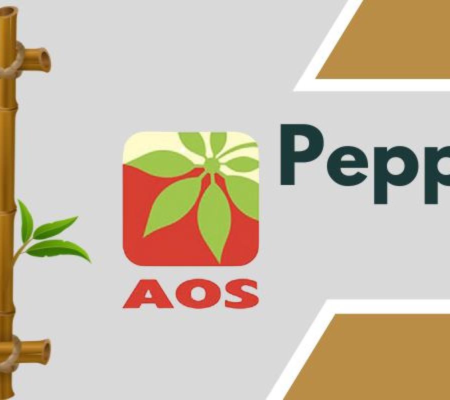 Peppermint Oil Supplier in china
