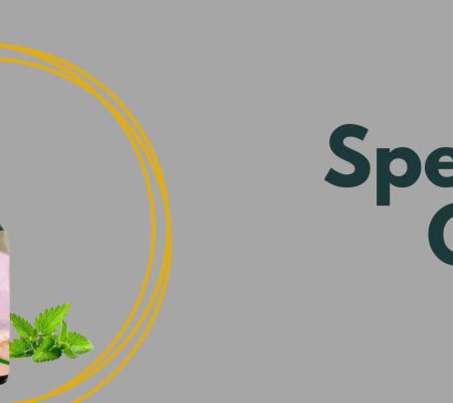 Spearmint Oil Azerbaijan