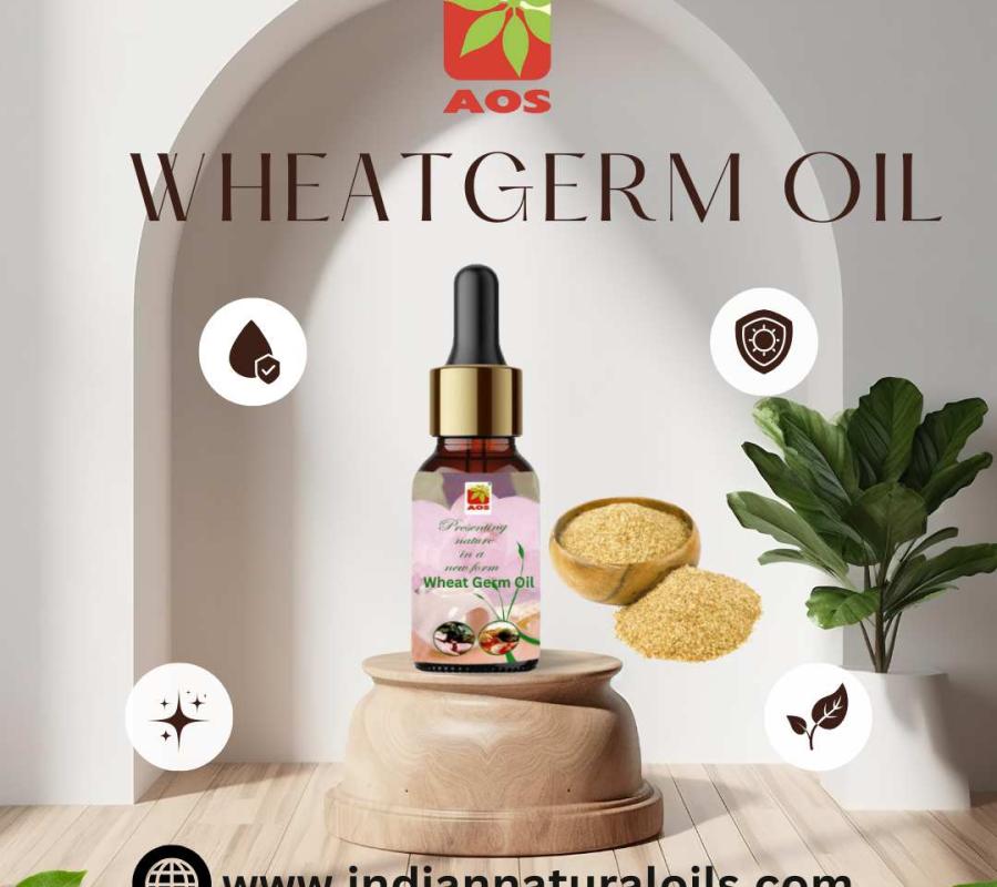 Wheatgerm Oil Suppliers in Pune: