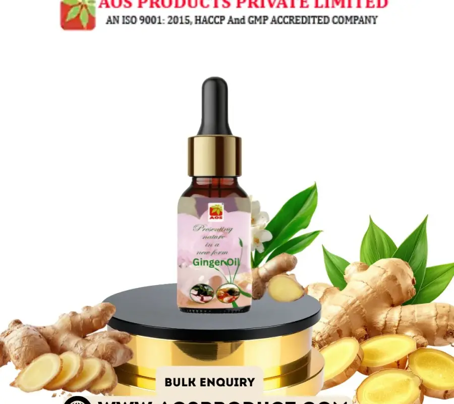 Ginger Oil Supplier in Pune