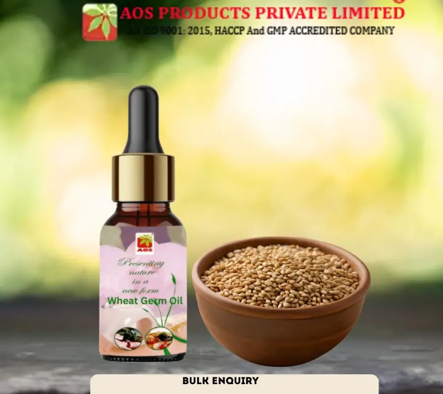 Wheatgerm Oil Exporters in Kanpur