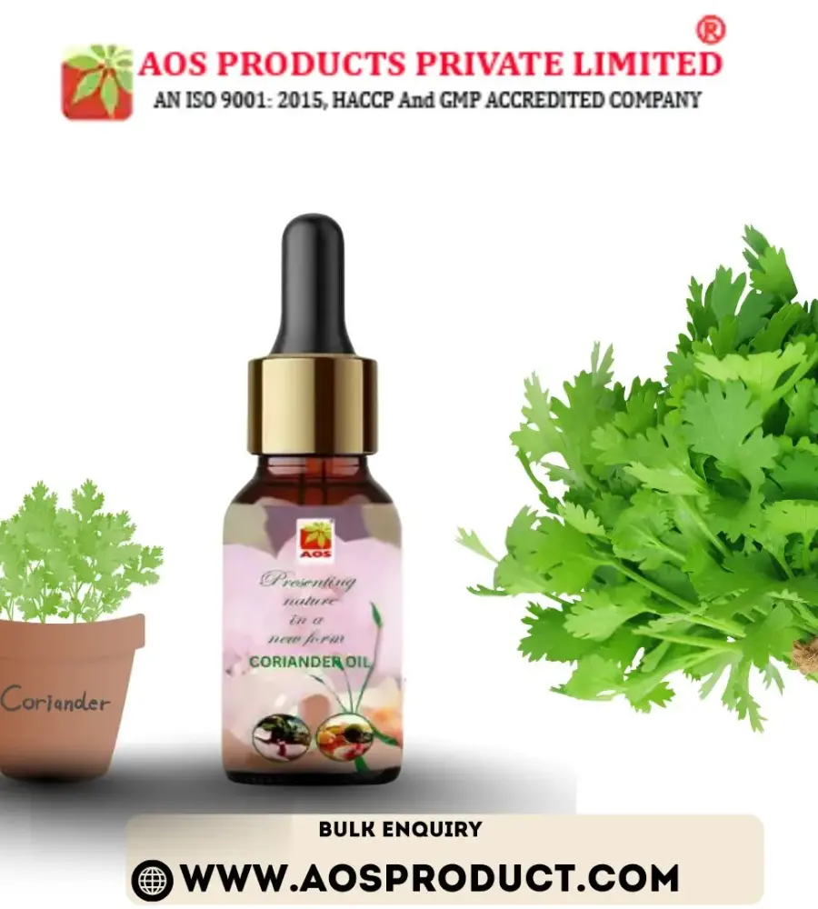 Coriander Seed Oil for Hair Growth