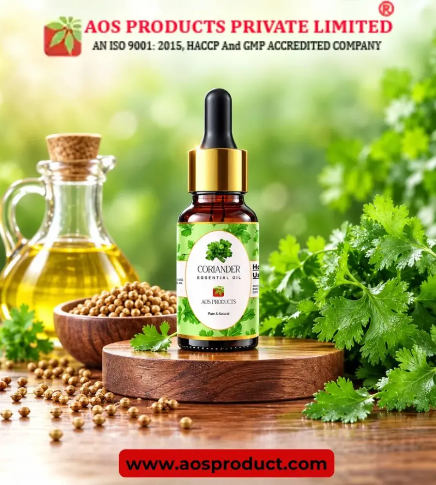 Coriander Oil Supplier in Netherlands