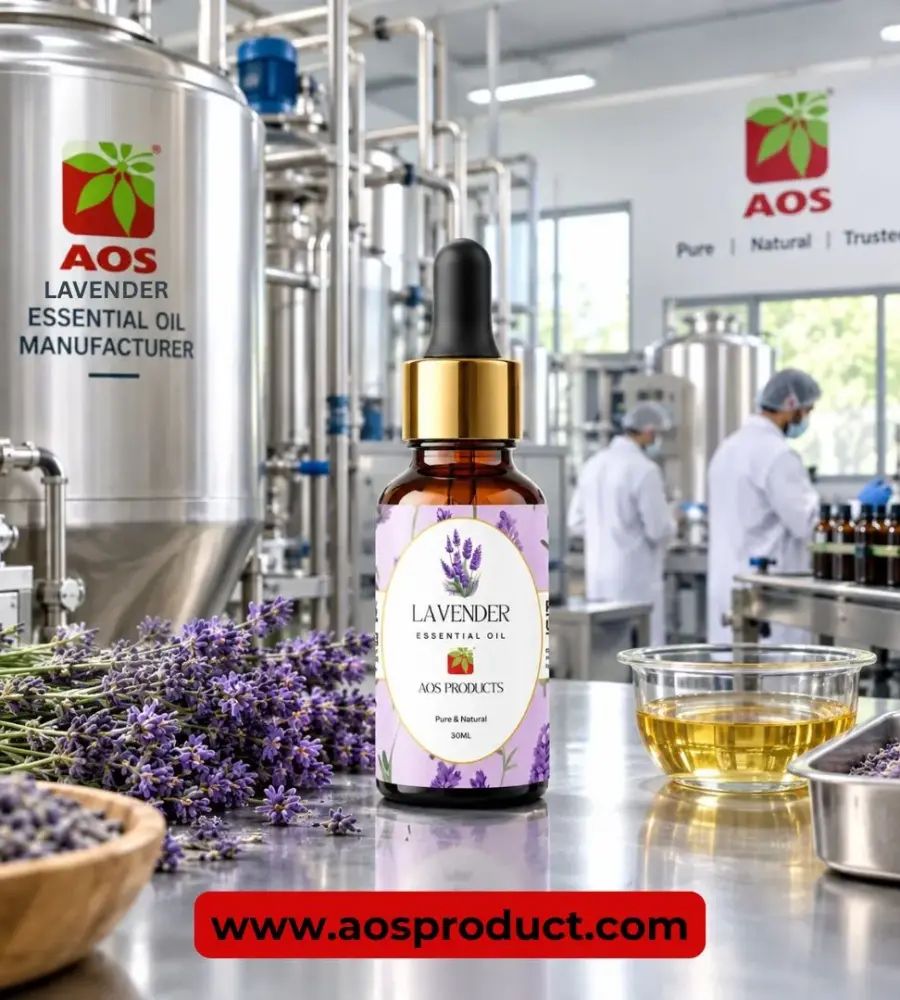 Lavender Oil Manufacturer in India
