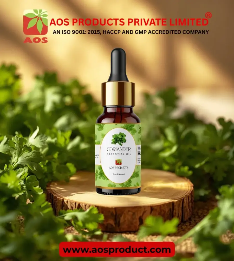 Coriander Oil Supplier in Italy