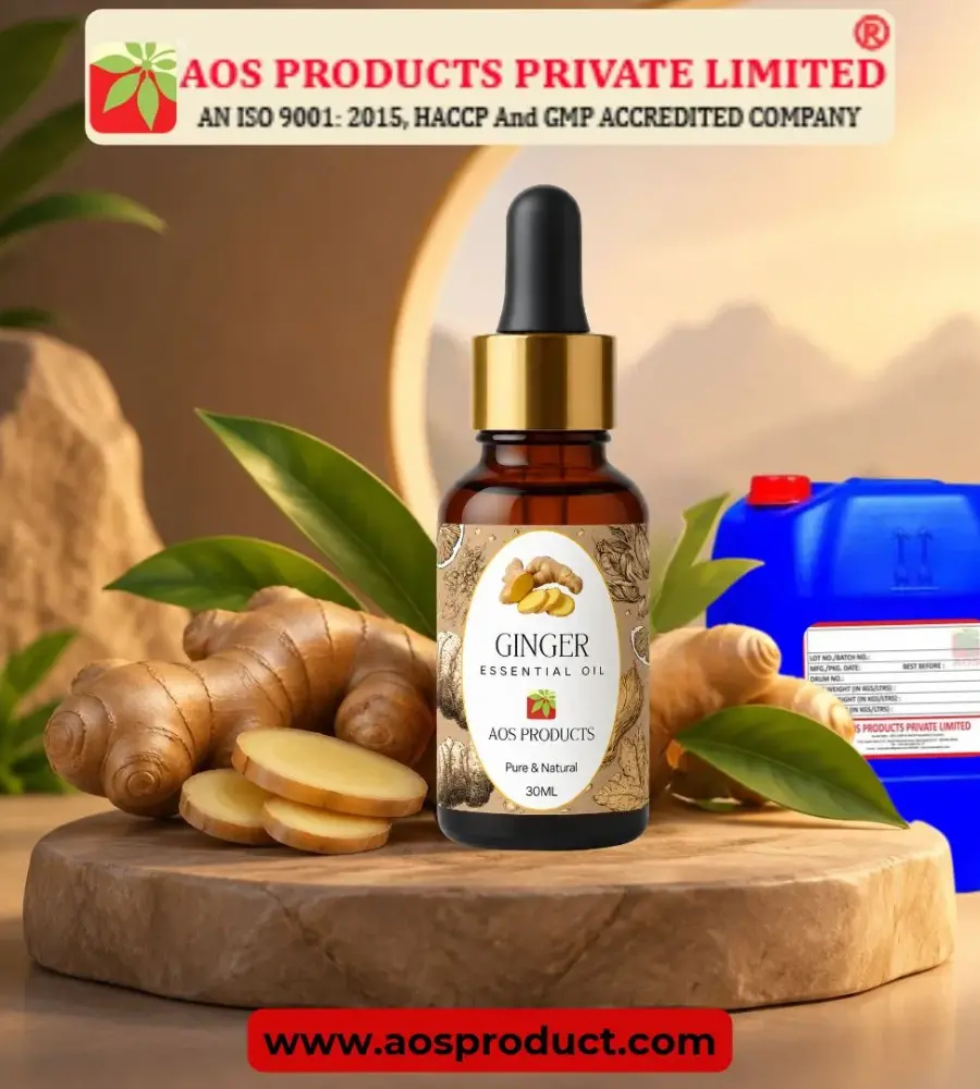 Ginger Oil Supplier in Italy